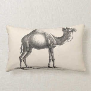 Cojín Lumbar Brodtmann Dromedary Camel Sketch