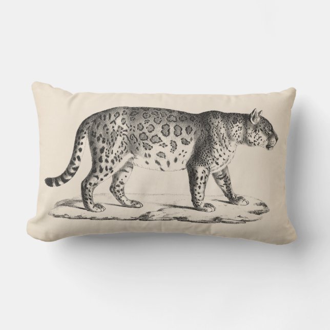 Cojín Lumbar Brodtmann Leopard Sketch (Anverso)