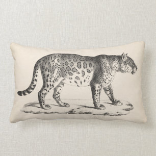 Cojín Lumbar Brodtmann Leopard Sketch