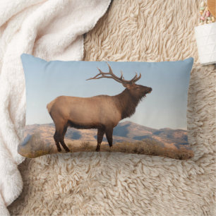 Cojín Lumbar Bull Elk Near Mammoth Wyoming