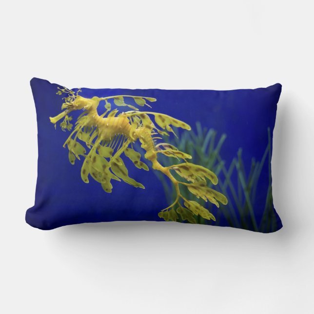 Cojín Lumbar Caballo de mar (Anverso)