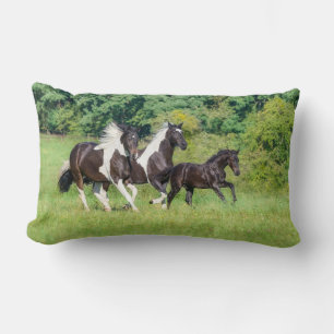 Cojín Lumbar Caballo de Pinto de Barock con Gallopaje de Terner