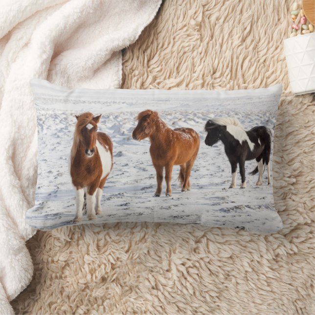 Cojín Lumbar Caballo islandés con pelaje típico de invierno (Manta)