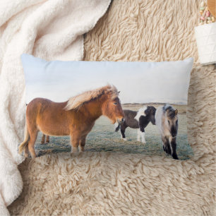 Cojín Lumbar Caballo islandés durante el invierno en Islandia