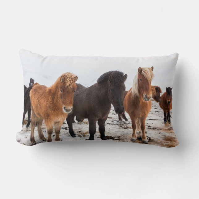 Cojín Lumbar Caballo islandés durante el invierno en Islandia (Anverso)
