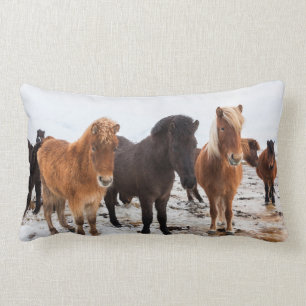 Cojín Lumbar Caballo islandés durante el invierno en Islandia