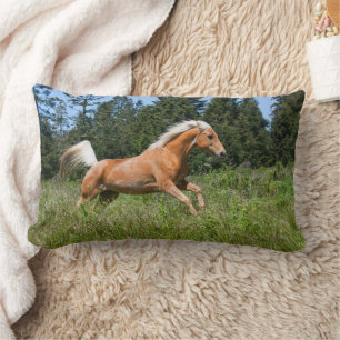 Cojín Lumbar Caballo Palomino corriendo a través de una pradera