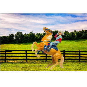 Cojín Lumbar Caballo y vaquero