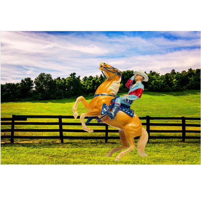 Cojín Lumbar Caballo y vaquero (Subido por el creador)