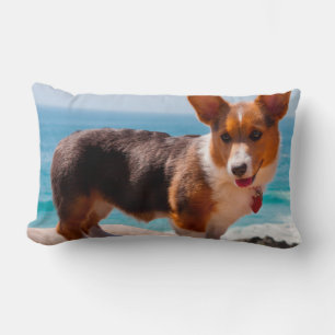 Cojín Lumbar cachorro de Corgi galés de Pembroke de pie en la m