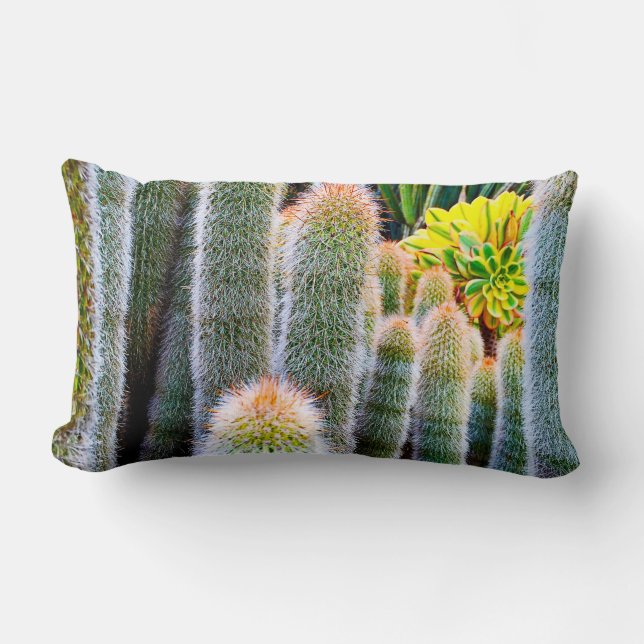 Cojín Lumbar Cacti difuso verde suculenta foto audaz moda moder (Anverso)