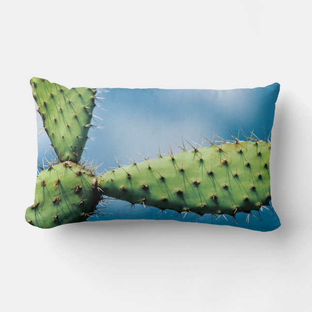 Cojín Lumbar Cactus de Prickley (Anverso)