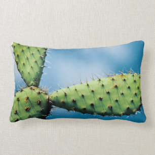 Cojín Lumbar Cactus de Prickley