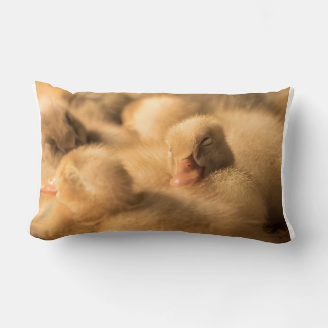 Cojín Lumbar Camaradería (Anverso)