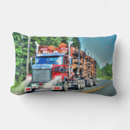 Cojín Lumbar Camioneros Registro de camiones Camión Transporte