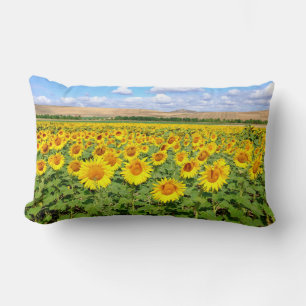 Cojín Lumbar Campo de girasol