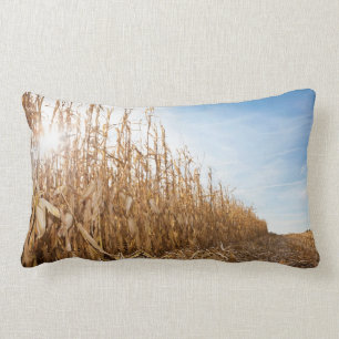 Cojín Lumbar Campo de maíz en parte cosechado