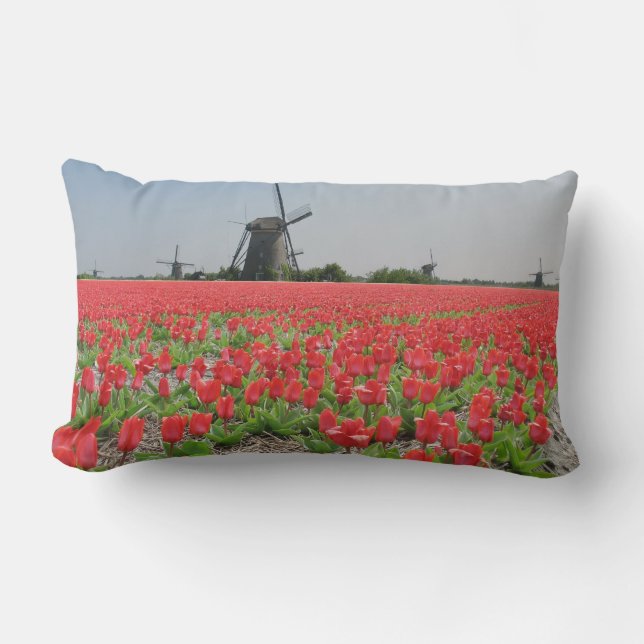 Cojín Lumbar Campo rojo de los tulipanes de los molinoes de (Anverso)