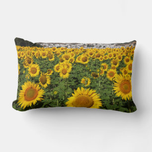 Cojín Lumbar Campos de girasoles, pueblo de la colina blanca de