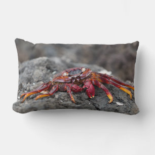Cojín Lumbar Cangrejo de roca roja