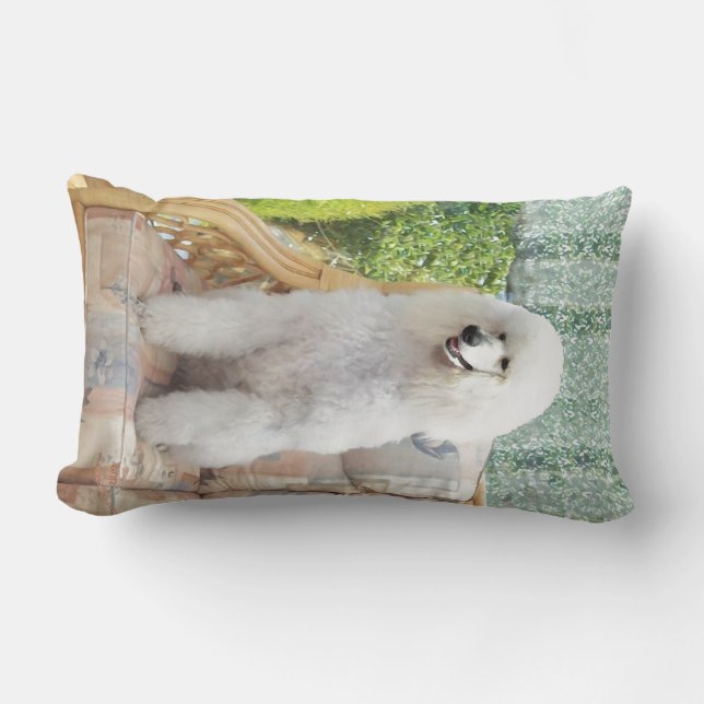 Cojín Lumbar Caniche Blanco (Anverso)