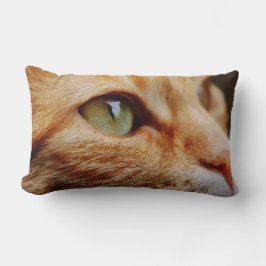 Cojín Lumbar Cara determinada de un gato jengibre