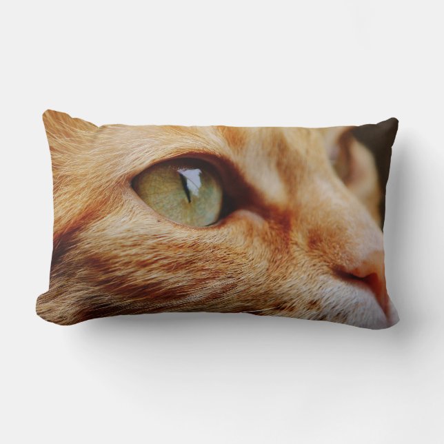 Cojín Lumbar Cara determinada de un gato jengibre (Anverso)