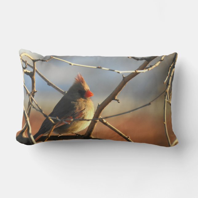 Cojín Lumbar Cardenal femenino encaramado en un árbol en horari (Anverso)