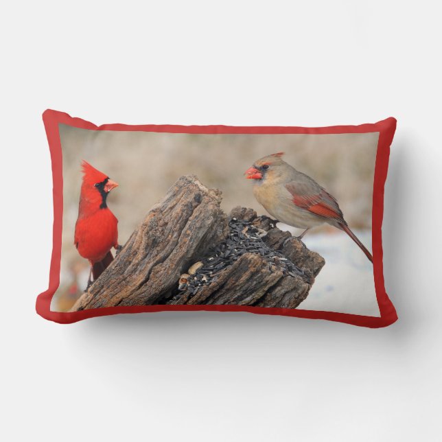 Cojín Lumbar Cardenales (Anverso)
