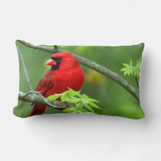 Cojín Lumbar Cardenales del norte