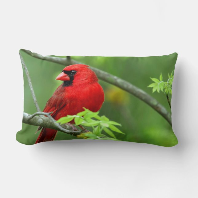 Cojín Lumbar Cardenales del norte (Anverso)
