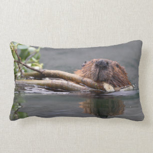 Cojín Lumbar castor