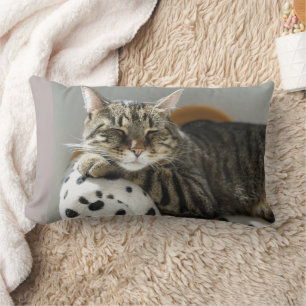 COJÍN LUMBAR CAT CUDDLE BOYFRIEND TABBY PILLOWS