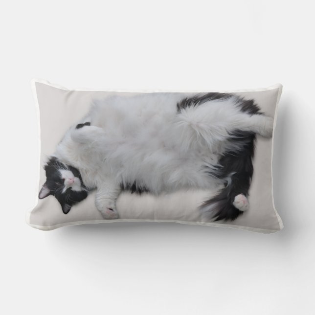 Cojín Lumbar Cat Pillow (Anverso)