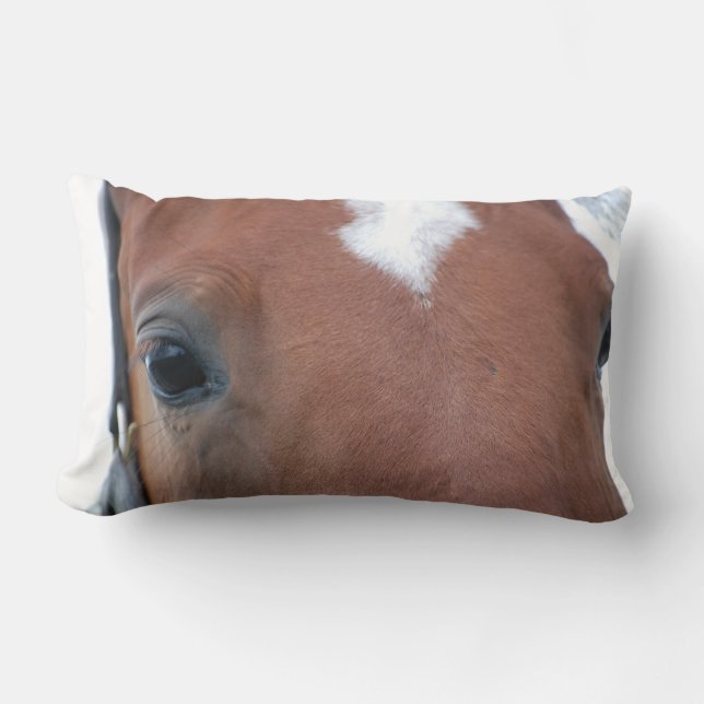 Cojín Lumbar Cerco del caballo de castaño (Anverso)