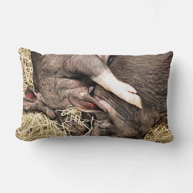 COJÍN LUMBAR CERDOS DE DORMIR CUIDADOS (Anverso)