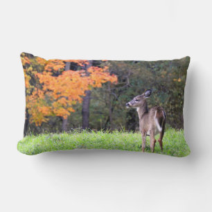 Cojín Lumbar Cerveza en el campo