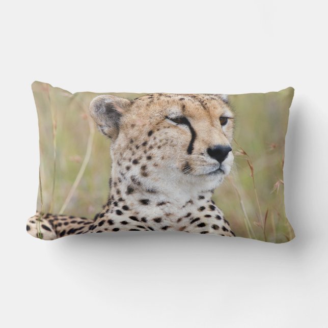 Cojín Lumbar Cheetah (Anverso)