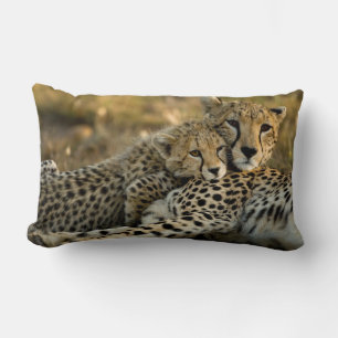 Cojín Lumbar Cheetah Cub contrabandeando a su mamá