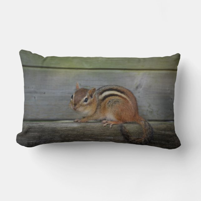 Cojín Lumbar chipmunk (Anverso)