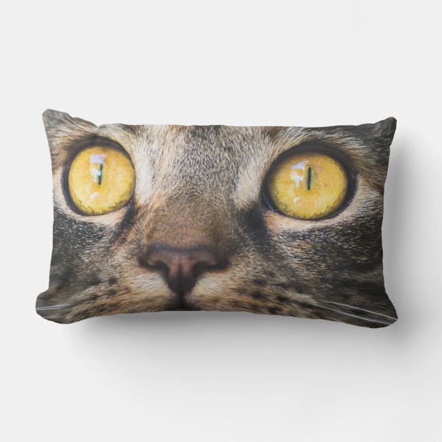 Cojín Lumbar Cierre de gato con ojos amarillos (Anverso)
