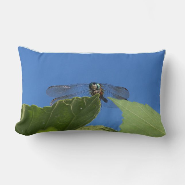 Cojín Lumbar Cierre de una libélula contra un cielo azul brilla (Anverso)