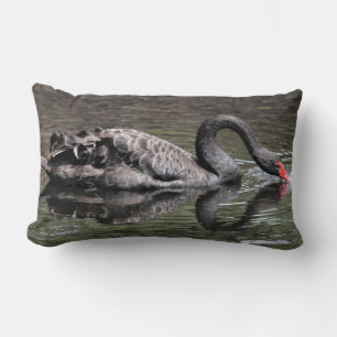 Cojín Lumbar Cisne negro