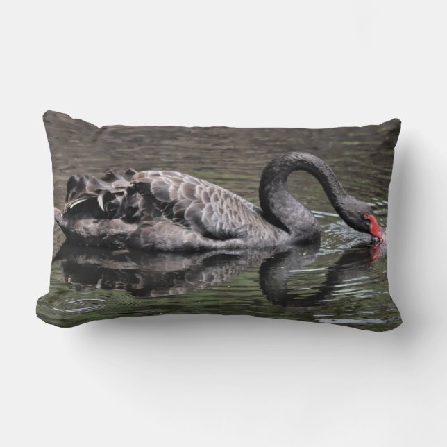 Cojín Lumbar Cisne negro (Anverso)