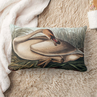Cojín Lumbar Cisne trompetero por John James Audubon