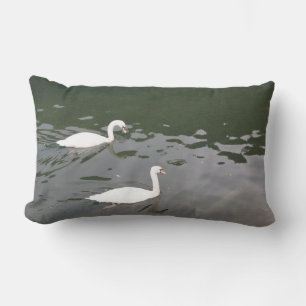 Cojín Lumbar Cisnes Blancos en el Agua - Fotografía de Naturale