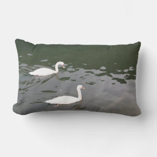 Cojín Lumbar Cisnes Blancos en el Agua - Fotografía de Naturale