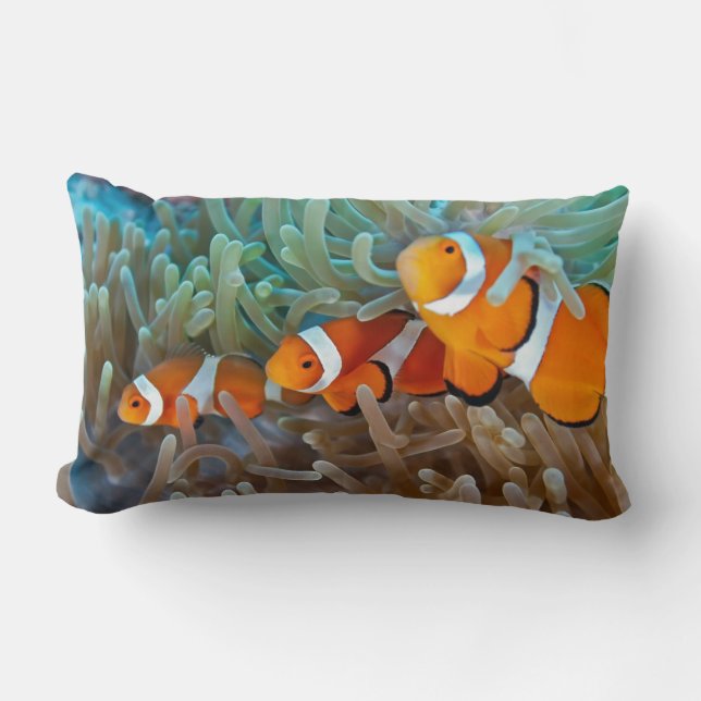Cojín Lumbar Clownfish (Anverso)
