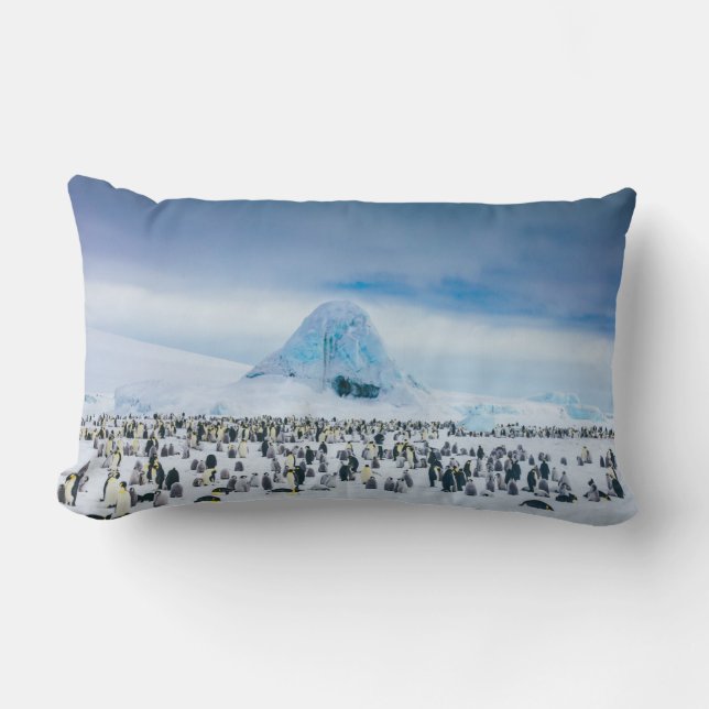 Cojín Lumbar Colonia Emperador Pingüino (Anverso)