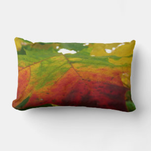 Cojín Lumbar Colores de la fotografía de la naturaleza otoñal d